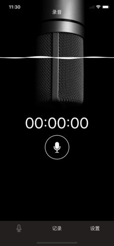 嗨录音ios版