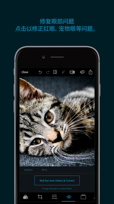 Adobe Photoshop Express ios会员版截图2