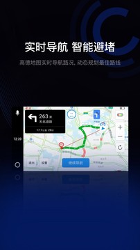 驾驶伴侣ios会员版截图3