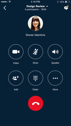 skype ios破解版截图5