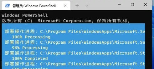 Win10精简版有微软商店吗？Win10精简版