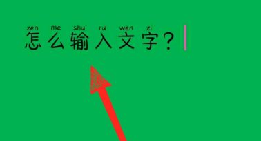 WPS Office官方版怎么输入文字？WPS Office官方版输入文字的方法截图