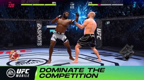 ufc终极格斗冠军2免费版截图2