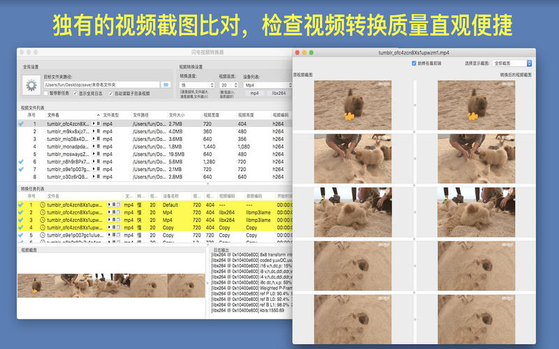 闪电视频转换器ios手机版截图2