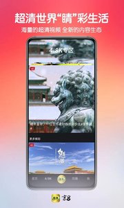 京8k 破解版截图3