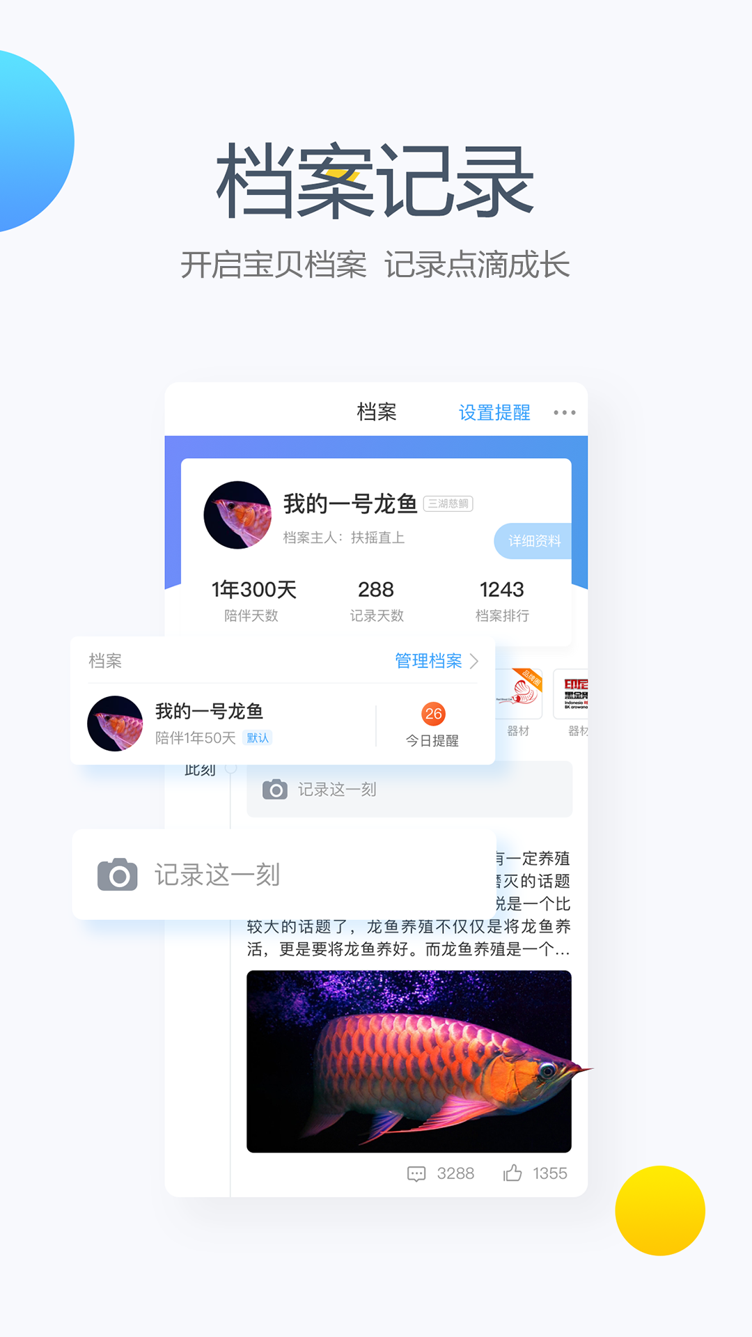 龙巅去广告版截图3