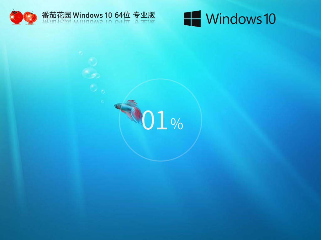 番茄花园 Windows10 64位中文专业版 V2024.07