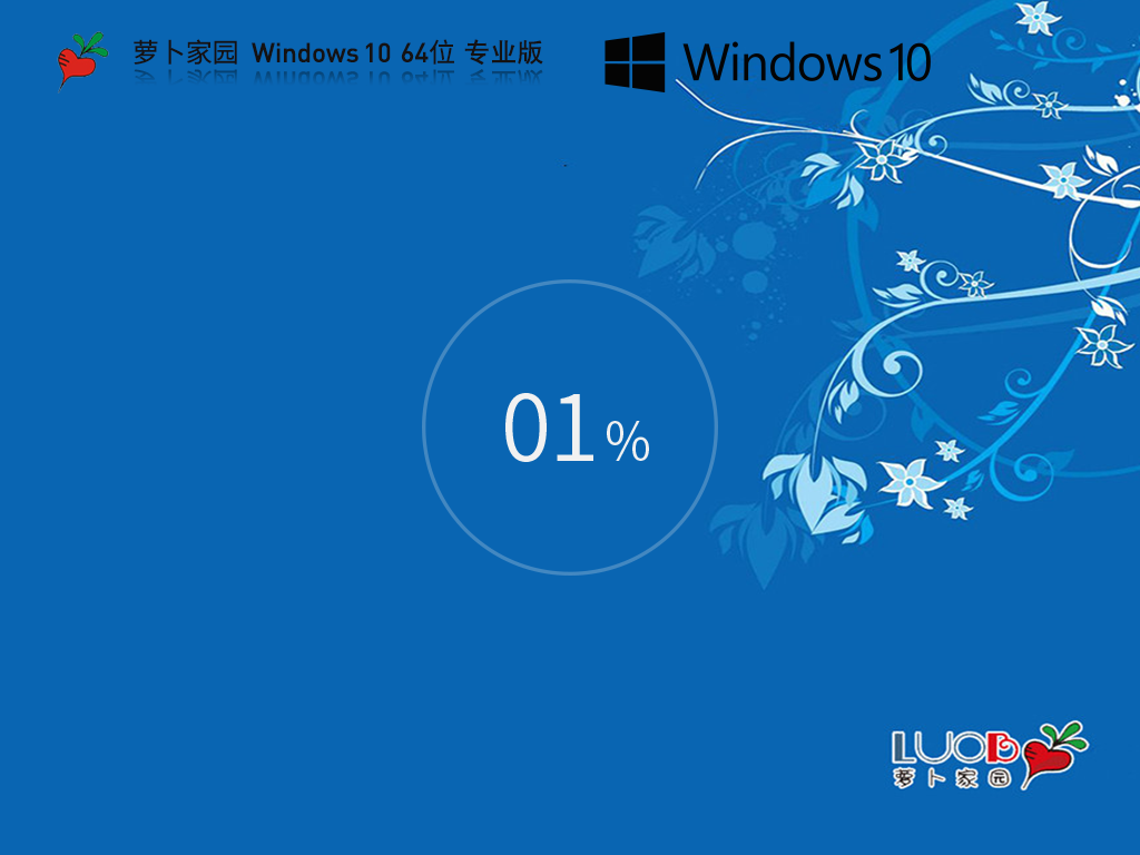 萝卜家园 Windows10 64位专业装机版 V2024.07