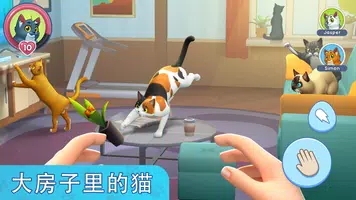 我的宠物猫模拟器安卓版