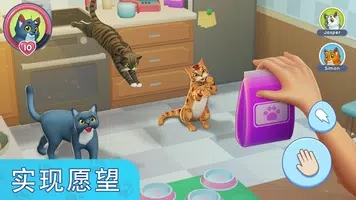 我的宠物猫模拟器安卓版